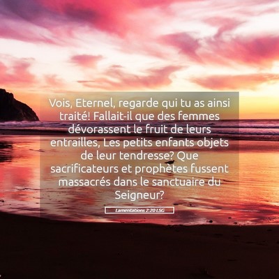 Picture 05 - Lamentations 2:20 LSG - Vois, Eternel, regarde qui tu as ainsi traité! - Bible Verse Picture