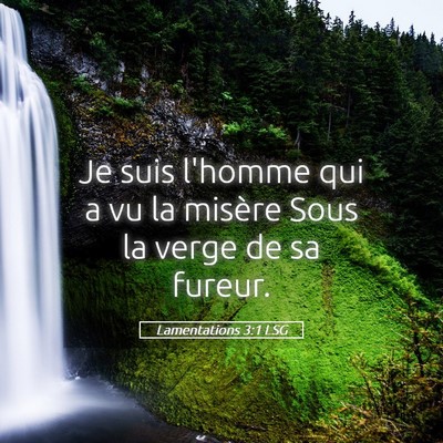 Picture 05 - Lamentations 3:1 LSG - Je suis l'homme qui a vu la misère Sous la verge - Bible Verse Picture