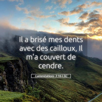 Picture 05 - Lamentations 3:16 LSG - Il a brisé mes dents avec des cailloux, Il m'a - Bible Verse Picture
