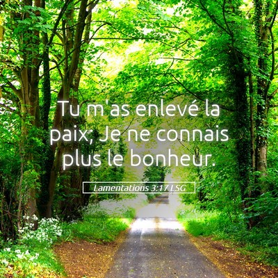 Picture 05 - Lamentations 3:17 LSG - Tu m'as enlevé la paix; Je ne connais plus le - Bible Verse Picture