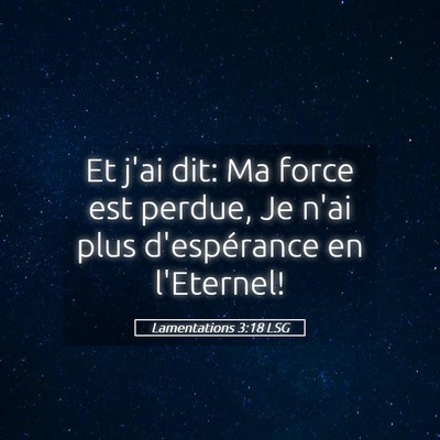 Picture 05 - Lamentations 3:18 LSG - Et j'ai dit: Ma force est perdue, Je n'ai plus - Bible Verse Picture