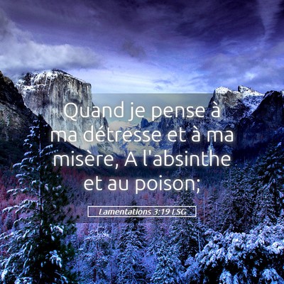 Picture 05 - Lamentations 3:19 LSG - Quand je pense à ma détresse et à ma misère, - Bible Verse Picture