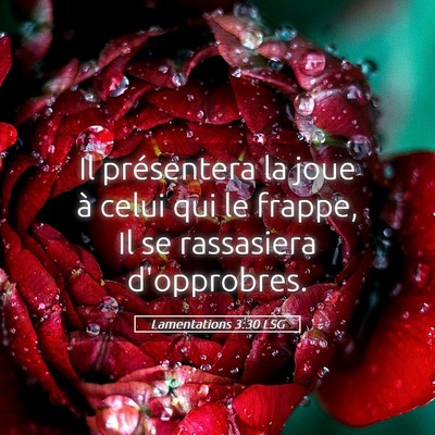 Picture 05 - Lamentations 3:30 LSG - Il présentera la joue à celui qui le frappe, Il - Bible Verse Picture