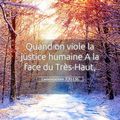 Picture 05 - Lamentations 3:35 LSG - Quand on viole la justice humaine A la face du - Bible Verse Picture