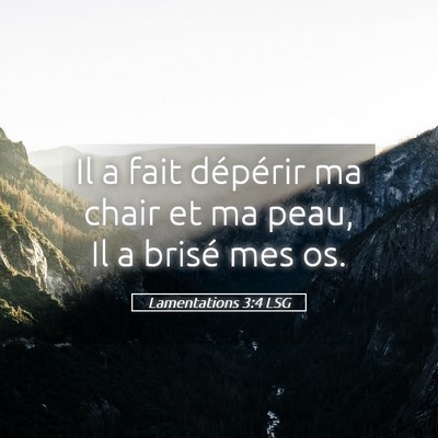 Picture 05 - Lamentations 3:4 LSG - Il a fait dépérir ma chair et ma peau, Il a - Bible Verse Picture