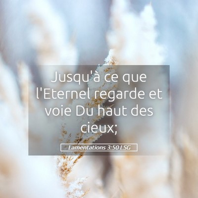 Picture 05 - Lamentations 3:50 LSG - Jusqu'à ce que l'Eternel regarde et voie Du haut - Bible Verse Picture