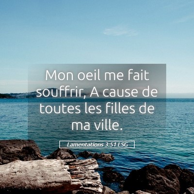 Picture 05 - Lamentations 3:51 LSG - Mon oeil me fait souffrir, A cause de toutes les - Bible Verse Picture