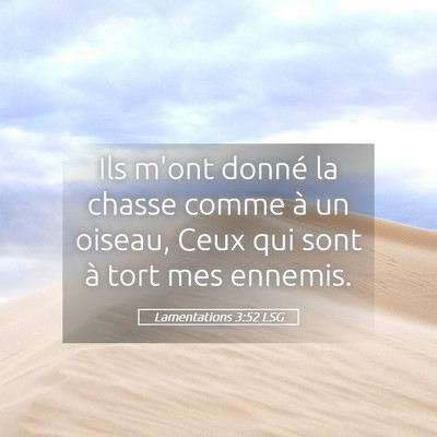 Picture 05 - Lamentations 3:52 LSG - Ils m'ont donné la chasse comme à un oiseau, - Bible Verse Picture