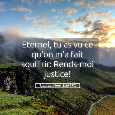 Picture 05 - Lamentations 3:59 LSG - Eternel, tu as vu ce qu'on m'a fait souffrir: - Bible Verse Picture