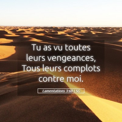 Picture 05 - Lamentations 3:60 LSG - Tu as vu toutes leurs vengeances, Tous leurs - Bible Verse Picture