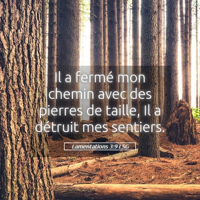Picture 05 - Lamentations 3:9 LSG - Il a fermé mon chemin avec des pierres de - Bible Verse Picture