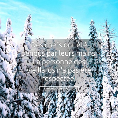 Picture 05 - Lamentations 5:12 LSG - Des chefs ont été pendus par leurs mains; La - Bible Verse Picture