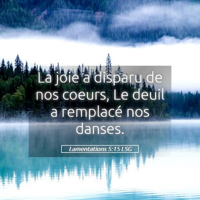 Picture 05 - Lamentations 5:15 LSG - La joie a disparu de nos coeurs, Le deuil a - Bible Verse Picture