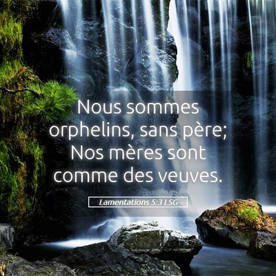 Picture 05 - Lamentations 5:3 LSG - Nous sommes orphelins, sans père; Nos mères - Bible Verse Picture