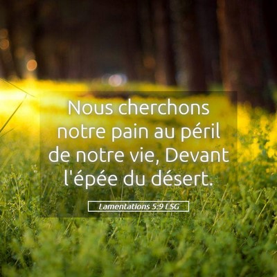 Picture 05 - Lamentations 5:9 LSG - Nous cherchons notre pain au péril de notre vie, - Bible Verse Picture