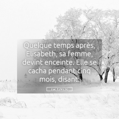 Picture 05 - Luc 1:24 LSG - Quelque temps après, Elisabeth, sa femme, devint - Bible Verse Picture