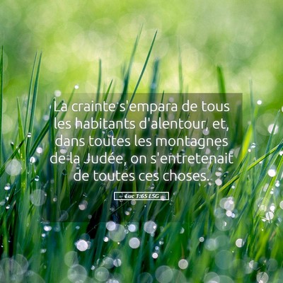 Picture 05 - Luc 1:65 LSG - La crainte s'empara de tous les habitants - Bible Verse Picture