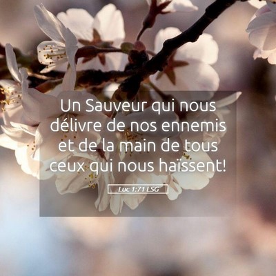 Picture 05 - Luc 1:71 LSG - Un Sauveur qui nous délivre de nos ennemis et de - Bible Verse Picture