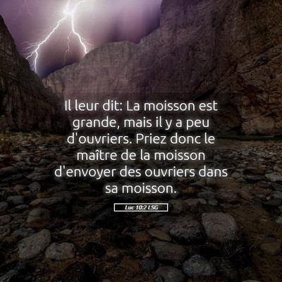 Picture 05 - Luc 10:2 LSG - Il leur dit: La moisson est grande, mais il y a - Bible Verse Picture