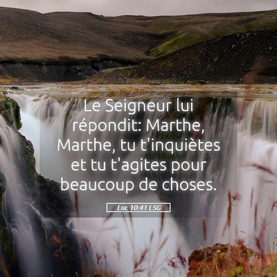 Picture 05 - Luc 10:41 LSG - Le Seigneur lui répondit: Marthe, Marthe, tu - Bible Verse Picture
