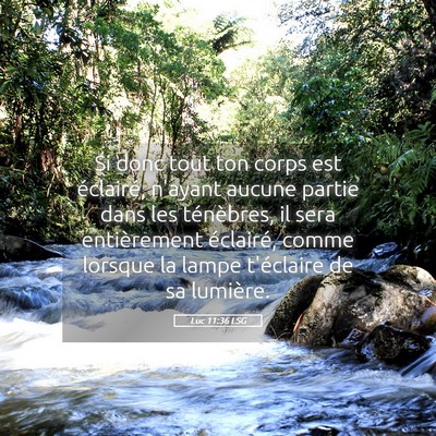 Picture 05 - Luc 11:36 LSG - Si donc tout ton corps est éclairé, n'ayant - Bible Verse Picture