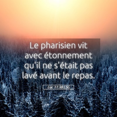 Picture 05 - Luc 11:38 LSG - Le pharisien vit avec étonnement qu'il ne - Bible Verse Picture