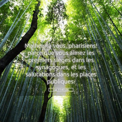 Picture 05 - Luc 11:43 LSG - Malheur à vous, pharisiens! parce que vous aimez - Bible Verse Picture