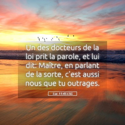 Picture 05 - Luc 11:45 LSG - Un des docteurs de la loi prit la parole, et lui - Bible Verse Picture