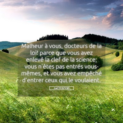 Picture 05 - Luc 11:52 LSG - Malheur à vous, docteurs de la loi! parce que - Bible Verse Picture