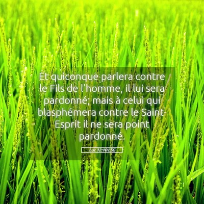 Picture 05 - Luc 12:10 LSG - Et quiconque parlera contre le Fils de l'homme, - Bible Verse Picture