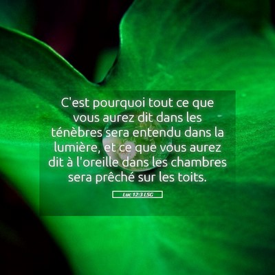 Picture 05 - Luc 12:3 LSG - C'est pourquoi tout ce que vous aurez dit dans - Bible Verse Picture