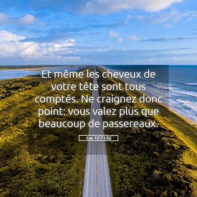 Picture 05 - Luc 12:7 LSG - Et même les cheveux de votre tête sont tous - Bible Verse Picture