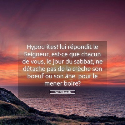 Picture 05 - Luc 13:15 LSG - Hypocrites! lui répondit le Seigneur, est-ce que - Bible Verse Picture