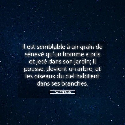 Picture 05 - Luc 13:19 LSG - Il est semblable à un grain de sénevé qu'un - Bible Verse Picture