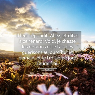 Picture 05 - Luc 13:32 LSG - Il leur répondit: Allez, et dites à ce renard: - Bible Verse Picture