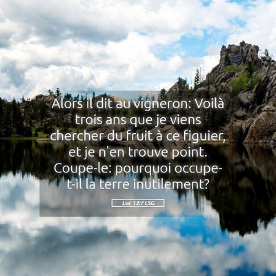 Picture 05 - Luc 13:7 LSG - Alors il dit au vigneron: Voilà trois ans que je - Bible Verse Picture