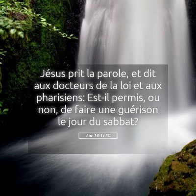 Picture 05 - Luc 14:3 LSG - Jésus prit la parole, et dit aux docteurs de la - Bible Verse Picture