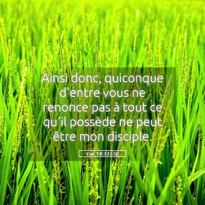 Picture 05 - Luc 14:33 LSG - Ainsi donc, quiconque d'entre vous ne renonce pas - Bible Verse Picture