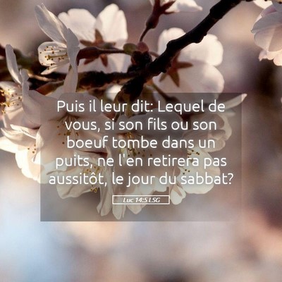 Picture 05 - Luc 14:5 LSG - Puis il leur dit: Lequel de vous, si son fils ou - Bible Verse Picture