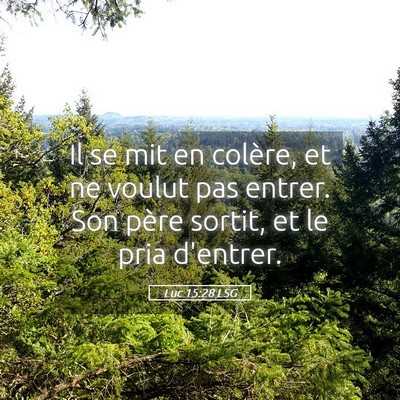 Picture 05 - Luc 15:28 LSG - Il se mit en colère, et ne voulut pas entrer. - Bible Verse Picture