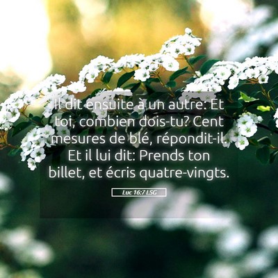 Picture 05 - Luc 16:7 LSG - Il dit ensuite à un autre: Et toi, combien - Bible Verse Picture