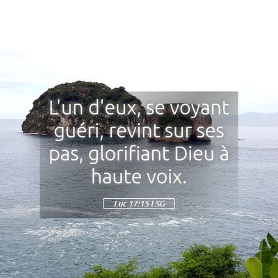 Picture 05 - Luc 17:15 LSG - L'un d'eux, se voyant guéri, revint sur ses pas, - Bible Verse Picture