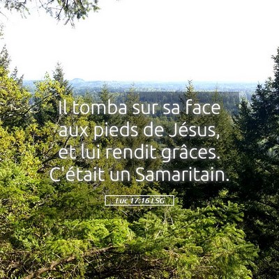 Picture 05 - Luc 17:16 LSG - Il tomba sur sa face aux pieds de Jésus, et lui - Bible Verse Picture