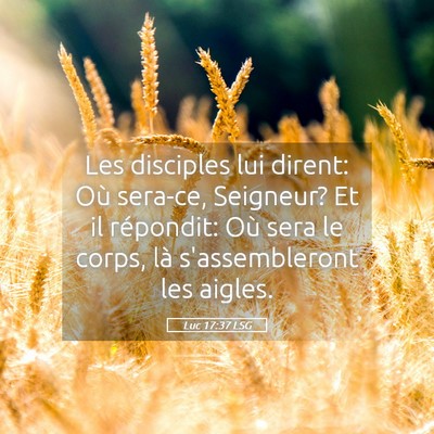 Picture 05 - Luc 17:37 LSG - Les disciples lui dirent: Où sera-ce, Seigneur? - Bible Verse Picture