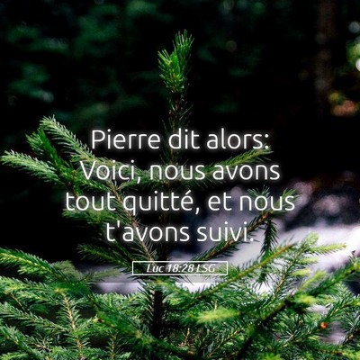 Picture 05 - Luc 18:28 LSG - Pierre dit alors: Voici, nous avons tout quitté, - Bible Verse Picture
