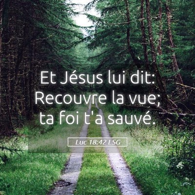 Picture 05 - Luc 18:42 LSG - Et Jésus lui dit: Recouvre la vue; ta foi t'a - Bible Verse Picture