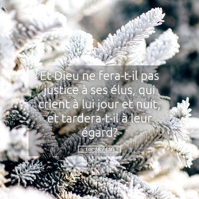 Picture 05 - Luc 18:7 LSG - Et Dieu ne fera-t-il pas justice à ses élus, - Bible Verse Picture