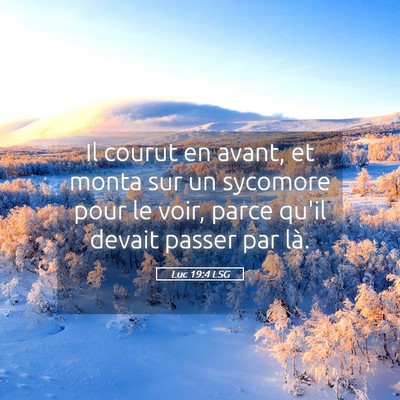 Picture 05 - Luc 19:4 LSG - Il courut en avant, et monta sur un sycomore pour - Bible Verse Picture