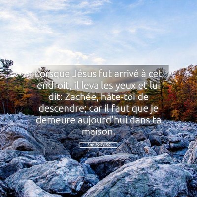 Picture 05 - Luc 19:5 LSG - Lorsque Jésus fut arrivé à cet endroit, il - Bible Verse Picture