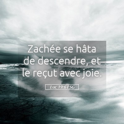 Picture 05 - Luc 19:6 LSG - Zachée se hâta de descendre, et le reçut avec - Bible Verse Picture